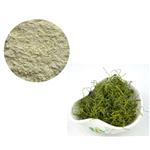 GYNOSTEMMA PLANT EXTRACT；GYPENOSIDES  pictures
