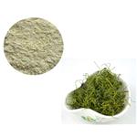 GYNOSTEMMA PLANT EXTRACT；GYPENOSIDES 