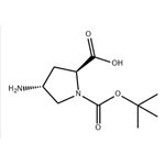 (2S,4R)-1-BOC-4-AMINO-PYRROLIDINE-2-CARBOXYLIC ACID pictures