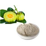 90045-23-1 Garcinia cambogia extract