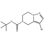 tert-butyl 3-broMo-6,7-dihydropyrazolo[1,5-a]pyrazine-5(4H)-carboxylate pictures