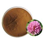 Red clover extract pictures
