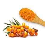 Sea buckthorn, Hippophae rhamnoides, ext. pictures