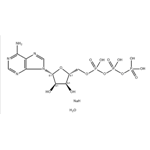  Adenosine 5'-Triphosphate Disodium Salt Hydrate pictures