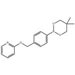 2-{[4-(5,5-dimethyl-1,3,2-dioxaborinan-2-yl)benzyl]oxy}pyridine pictures