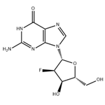 2'-Deoxy-2'-fluoroguanosine