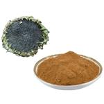 Sunflower Pan Extract; Sunflower Plate total?alkaloids