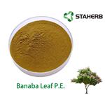 Banaba Leaf P.E. pictures