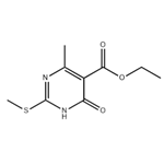 Ethyl 4-Methyl-2-(Methylthio)-6-oxo-1,6-dihydropyriMidine-5-carboxylate pictures