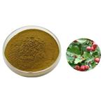 Hawthorn leaf extract flavonoids pictures