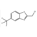  2-(Chloromethyl)-5-(trifluoromethyl)-1,3-benzothiazole