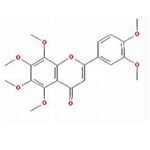 Polymethoxylated Flavones (PMFs)