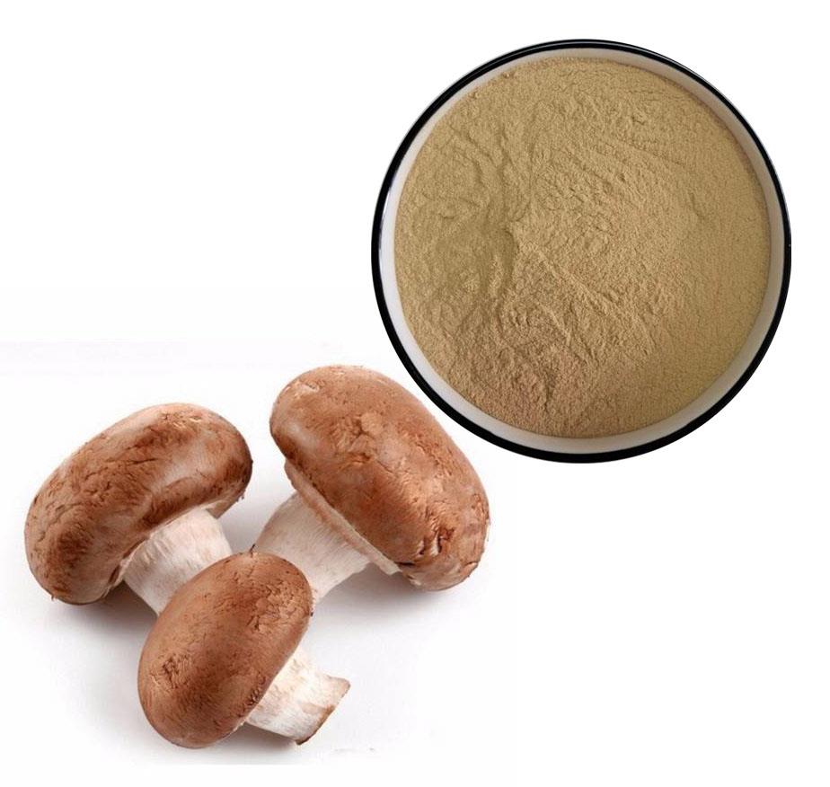 Article illustration