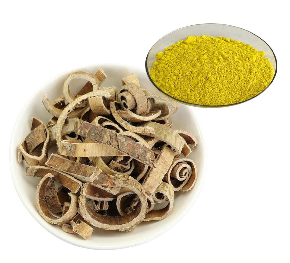 Article illustration