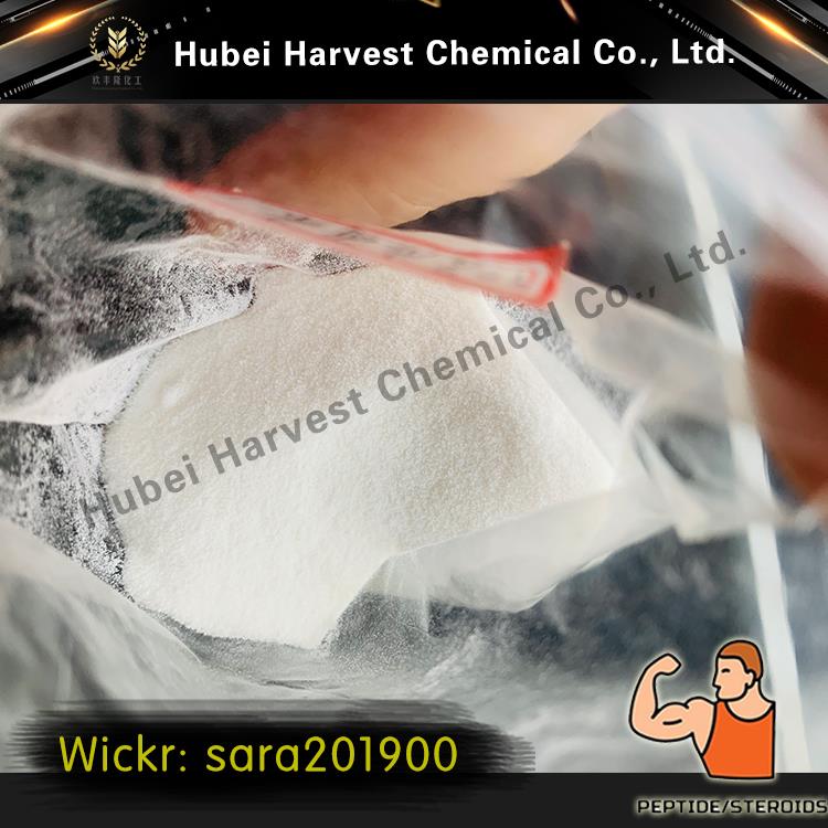 Article illustration