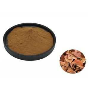 Caulis Spatholobi powder
