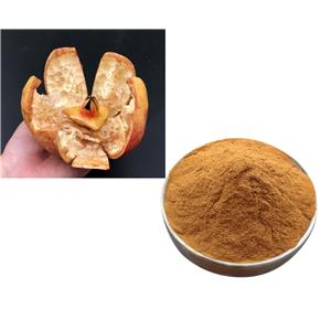 Ellagic acid; pomegranate bark extract