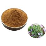 Herba Violae Extract pictures