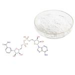 53-84-9 β-Nicotinamide adenine dinucleotide