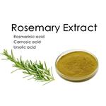 rosemary extract pictures