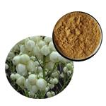Yucca Extract pictures