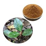 Pyrolatin; Renifolin pictures