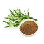 ROSEMARY EXTRACT pictures