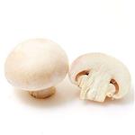 Agricus bisporus Extract