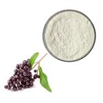 Oleanic acid; Ligustrum lucidum Ext pictures