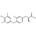 Triiodothyronine/REVERSE T3