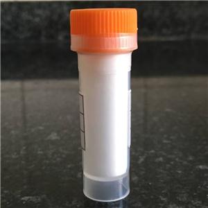 Poziotinib (HM781-36B)