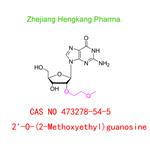 2'-O-(2-Methoxyethyl)guanosine pictures