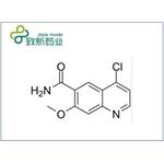 4-chloro-7-methoxyquinoline-6-carboxamide pictures