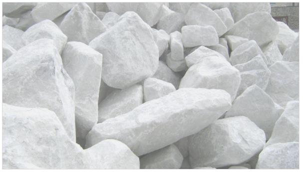 Article illustration