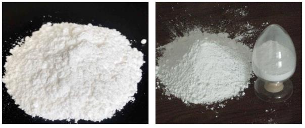 Article illustration