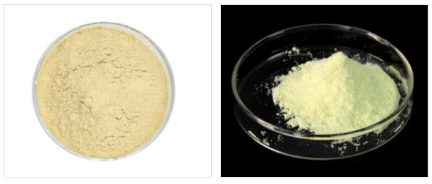 Article illustration