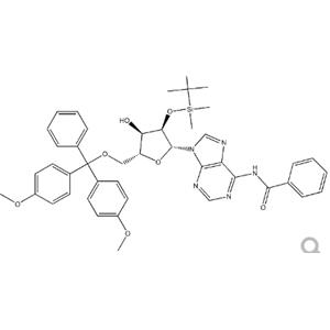 5’-O-DMT-2’-O-TBDMS-N6-Benzoyl-Adenosine