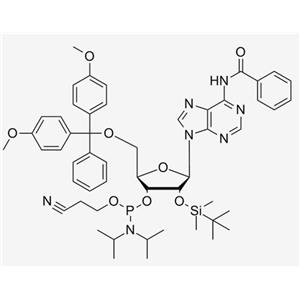 2'-O-TBDMS-A(Bz) CE Phosphoramidite;Bz-rA