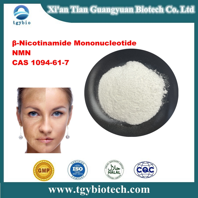 β-Nicotinamide Mononucleotide; NMN