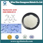 Hyaluronic acid;HA;Hyaluronic acid sodium