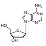 2‘-dU/ 2'-Deoxyuridine