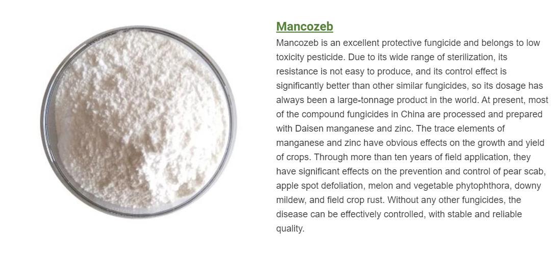 Article illustration