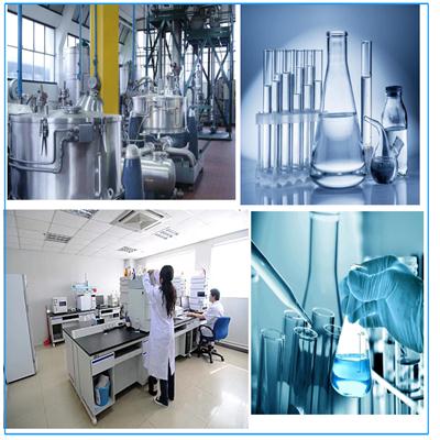 Article illustration