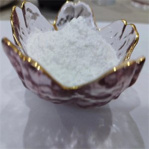 Citicoline sodium salt