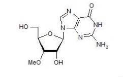 3′-O-Methylguanosine
