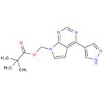  [4-(1H-Pyrazol-4-yl)-7H-pyrrolo[2,3-d]pyrimidin-7-yl]methyl pivalate pictures
