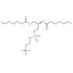 816-94-4 1,2-distearoyl-sn-glycero-3-phosphocholine