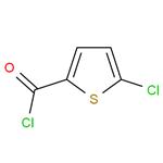  5-Chlorothiophene-2-carbonyl chloride