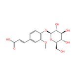 4-hydroxy-3-methoxycinnamic acid 4-O-β-D-glucopyranoside