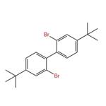 2,2'-Dibromo-4,4'-di-tert-Butyl-1,1'-biphenyl